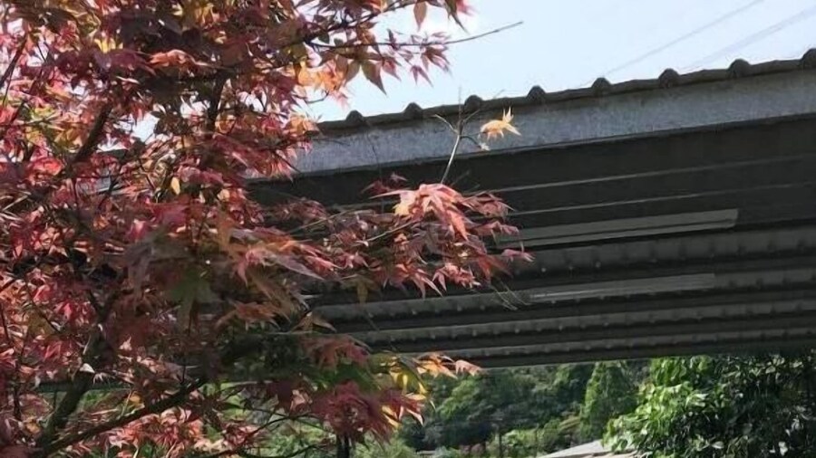 Yongle Ecological Hostel