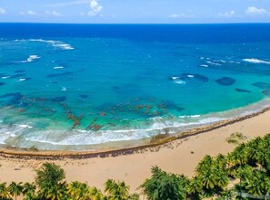 Une plage aux eaux turquoise et limpides, bordée d’un rivage sablonneux et de palmiers.