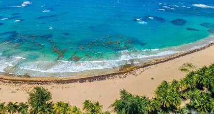 Luxe Beachfront 2 bdrm 2 bth Penthouse Unit on Beach in in Luquillo