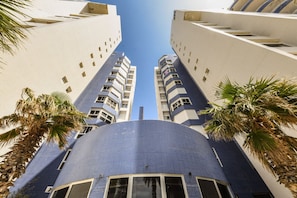 Un edificio moderno con fachada azul curvada, rodeado de palmeras.