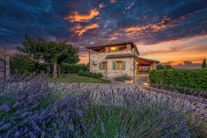 Luxury Villa, 4 Bedrooms, Balcony (Villa Amyra With Pool) | Exterior - Villa Amyra With Pool (Sveti Lovrec)