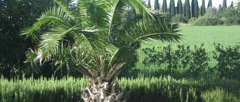 المنطقة المحيطة بالمنشأة