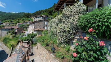 Biệt thự | 3 phòng ngủ