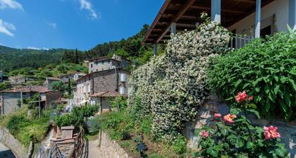 Cottage Gigi in Ruota