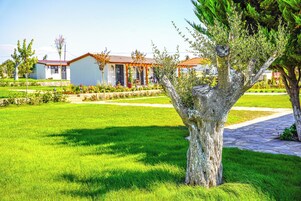Jardín