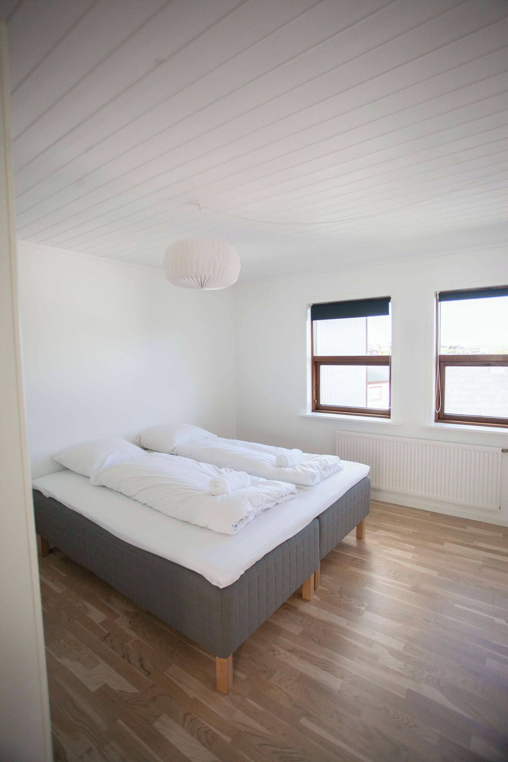 Downtown / Newly Renovated 2 Bedroom Apartment