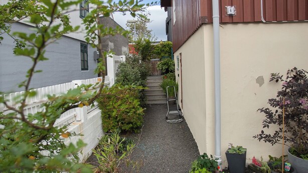A narrow alleyway with potted plants and a metal ladder leading to a building entrance.