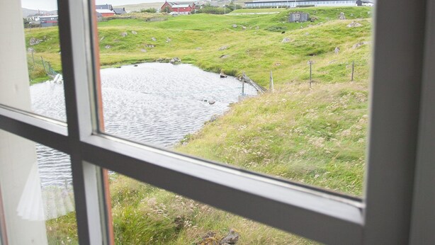 Une vue à travers une fenêtre sur un espace verdoyant avec un petit étang et un bâtiment situé au loin.