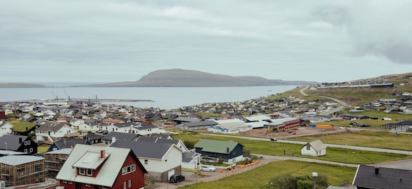 Un pueblo costero con casas residenciales, un puerto con grúas y una montaña al fondo.