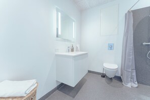 Apartment | Bathroom | Shower, hair dryer, towels, soap