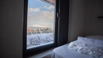 Apartment | 3 bedrooms, individually decorated, individually furnished