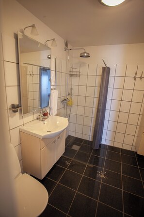 Apartment | Bathroom | Shower, hair dryer, towels, soap