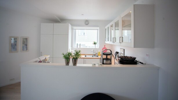A modern kitchen with white cabinets, a sink, and a window. There are two potted plants on the counter. - Downtown Tórshavn - Large 3 Bedroom Apartment (Tórshavn)