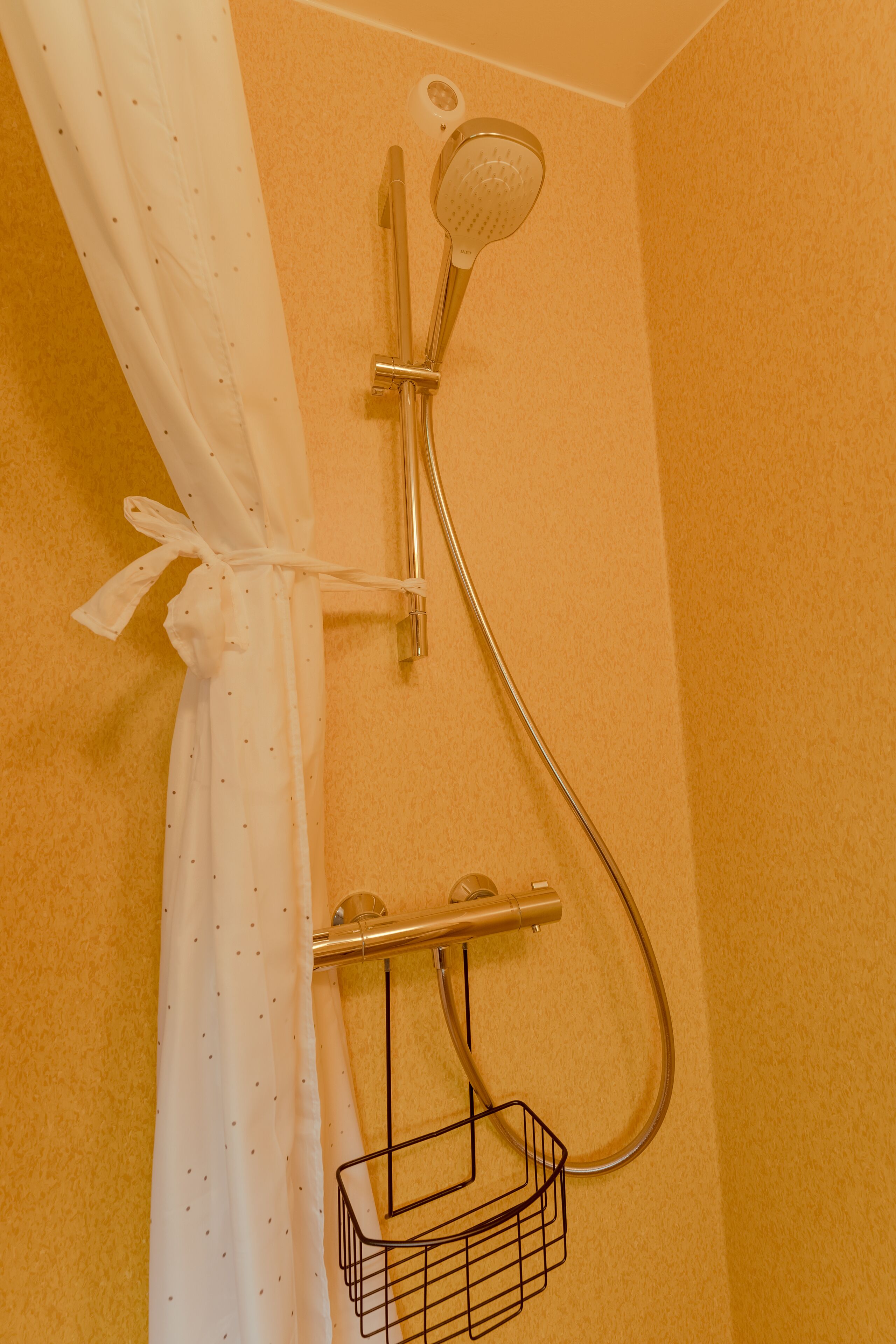 Une douche équipée d’un pommeau de douche à main et d’un robinet mural.