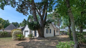 A house with a large tree in front, a white exterior, and a small garden area.