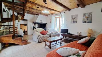 Smart TV, fireplace, DVD player, books