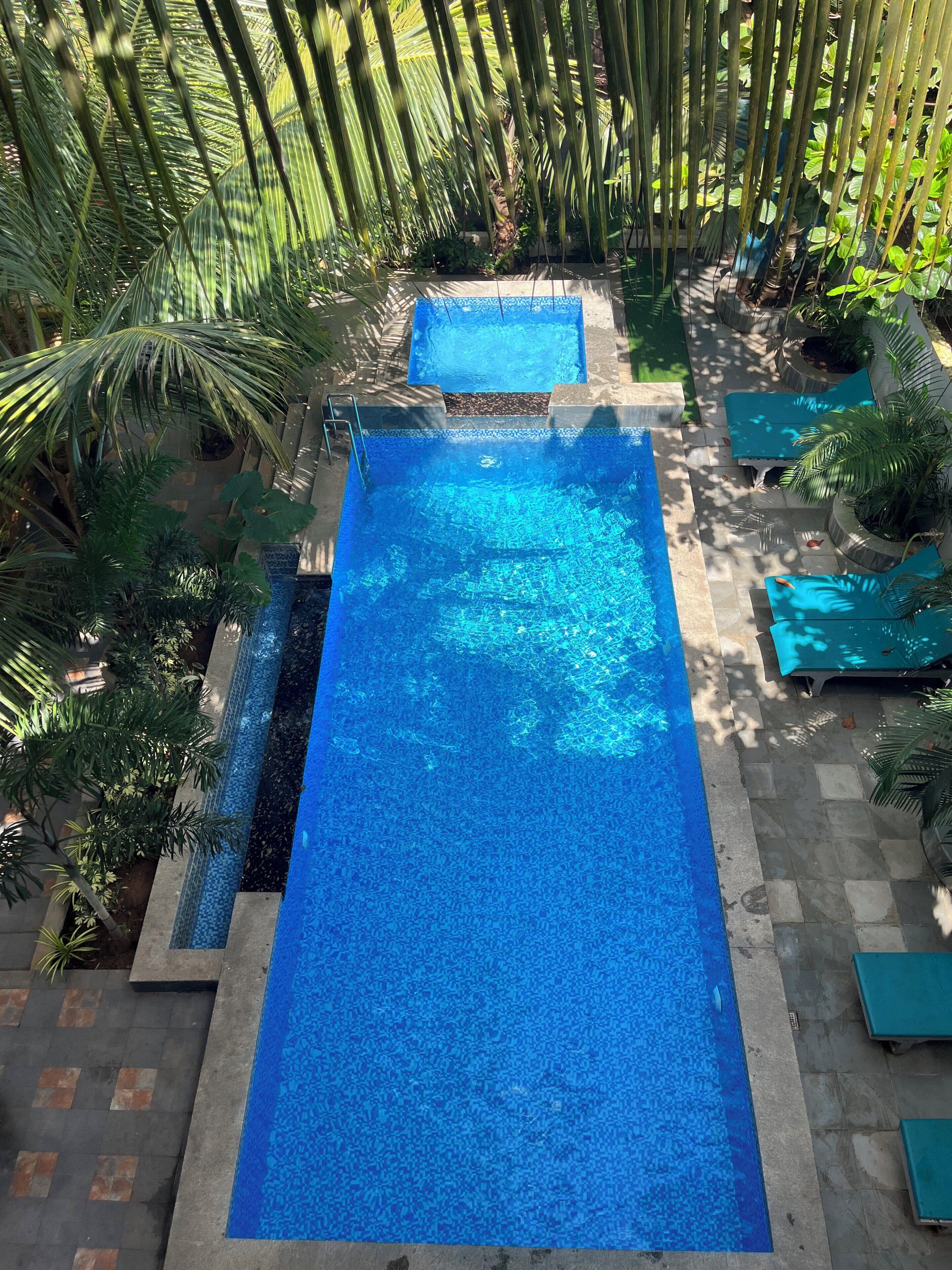 A rectangular pool with clear blue water, surrounded by palm trees and potted plants.