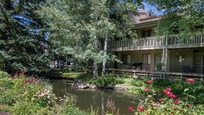 Un hotel con un giardino che include uno stagno, vegetazione lussureggiante e un pontile in legno.