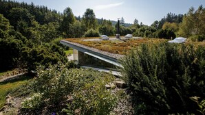 Un edificio moderno con techo verde, rodeado de un bosque denso.