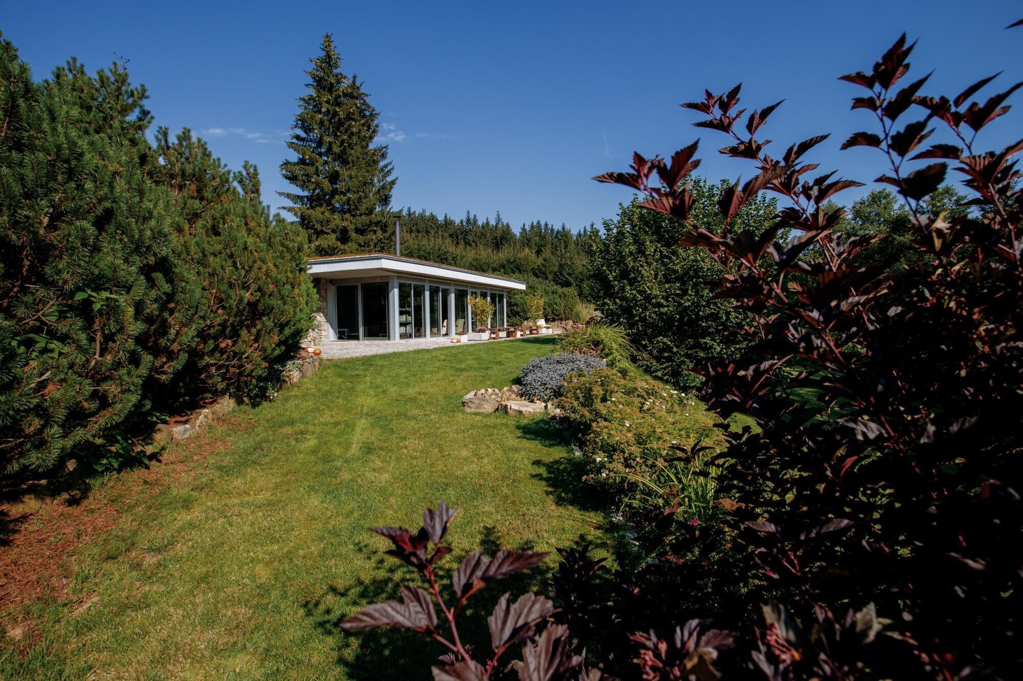 A modern house with a covered patio, surrounded by dense forest.