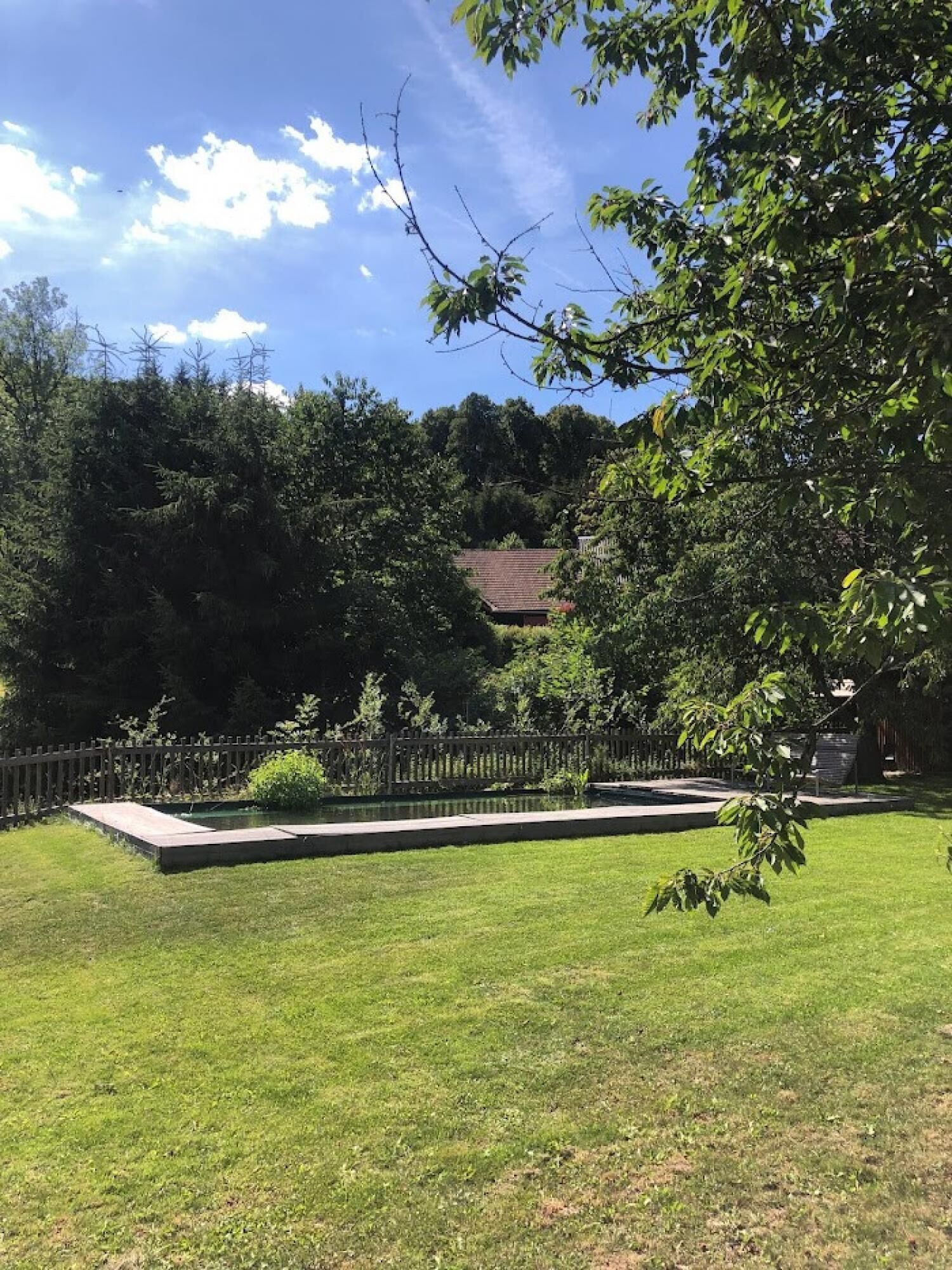 Un patio trasero bien cuidado con piscina, rodeado de exuberante vegetación y una valla de madera.