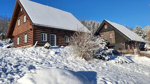 Two wooden cabins with metal roofs, surrounded by snow-covered ground and trees. - Villa Horni Marsov - Khp120 (Horni Marsov)