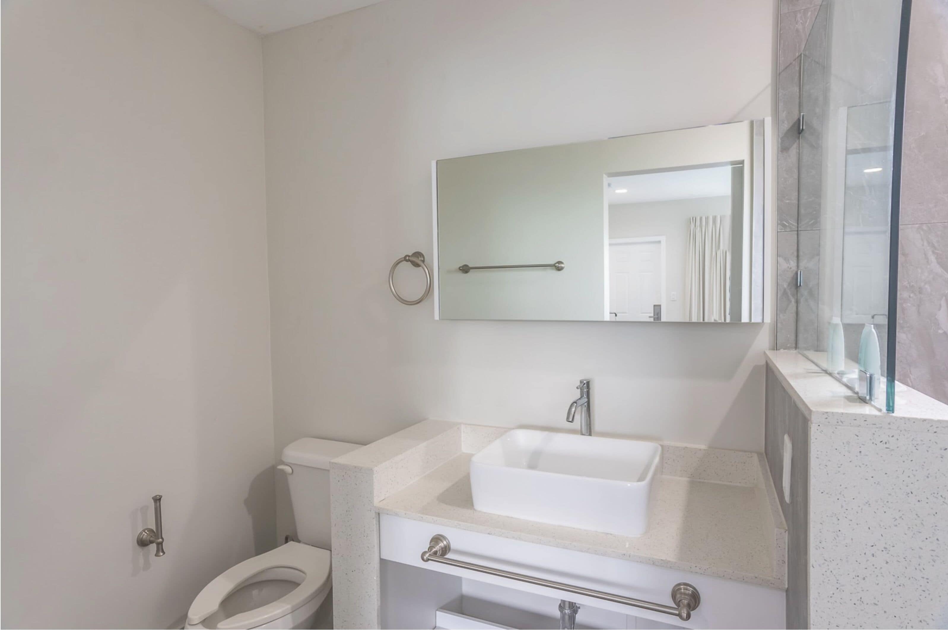 Un bagno moderno con un lavandino bianco, uno specchio e un WC.
