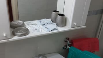 Shower, hair dryer, bidet, towels