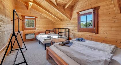 Dolni Branna Kdk11208