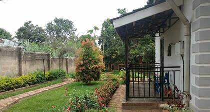 Aivilo Home