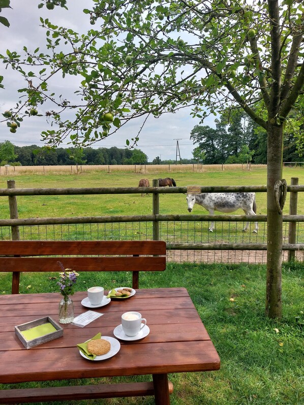 Outdoor dining - Ferienwohnung auf dem Dinkelhof (Lüdinghausen)
