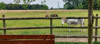 Ferienwohnung auf dem Dinkelhof 