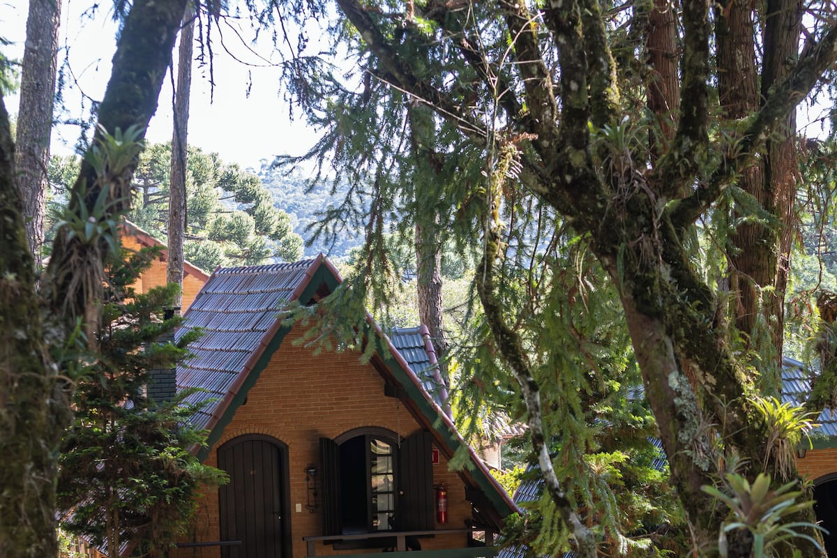A rustic lodge with a stone pathway leading to the entrance, surrounded by lush greenery and trees.