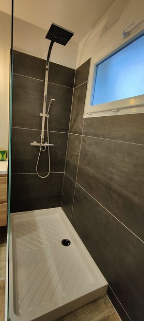 Regadera, secadora de cabello, papel de baño 