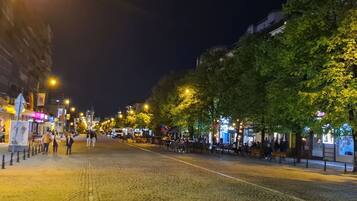 Una calle empedrada bordeada de árboles e iluminada por farolas.