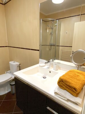 Dusch, hårtork, handdukar och toalettpapper