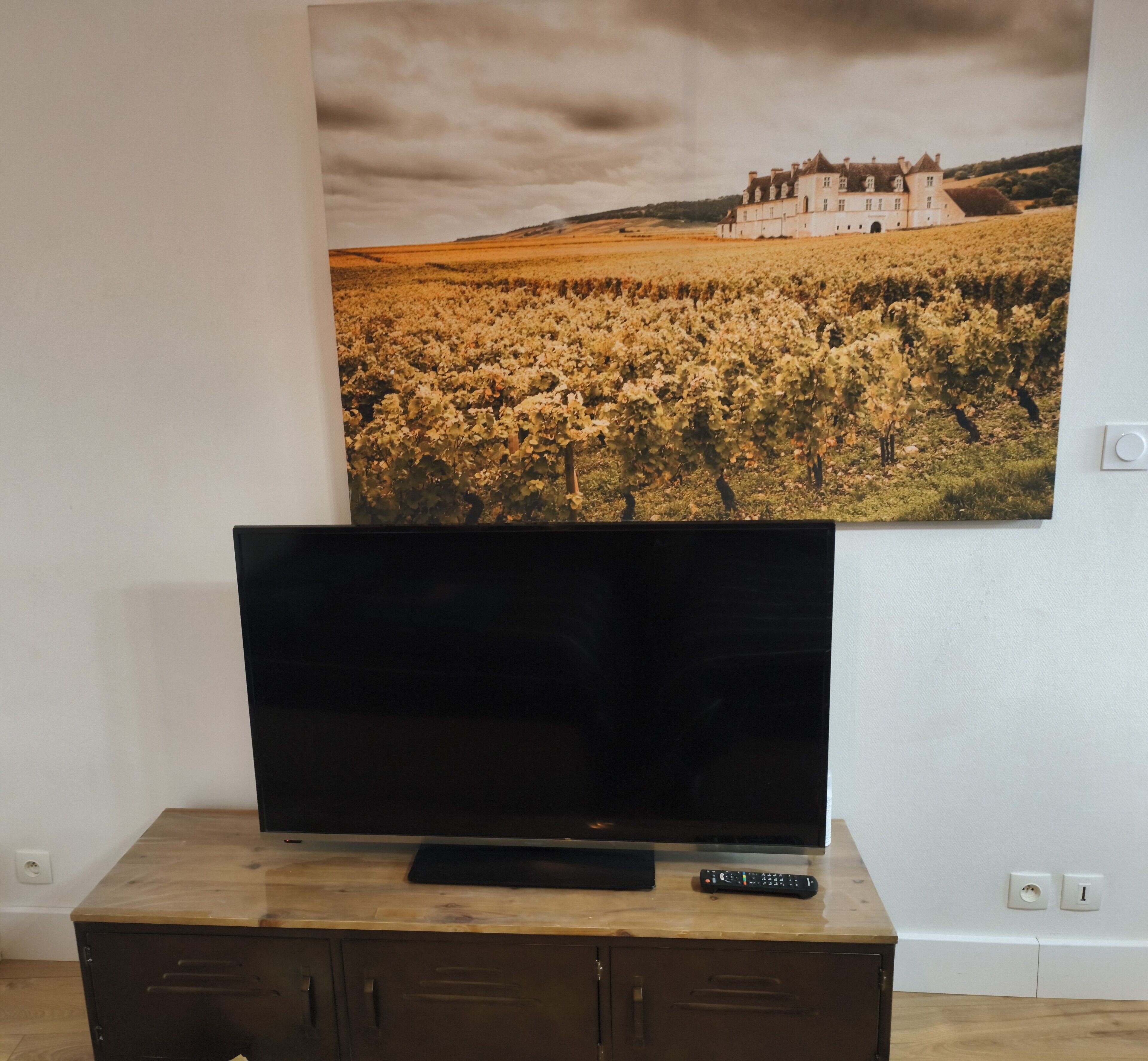 Un televisore su un mobile in legno con un telecomando, con sullo sfondo un muro che presenta un quadro raffigurante un vigneto e un edificio.