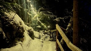 Una escalera de madera nevada en un área boscosa con luces de cuerda.