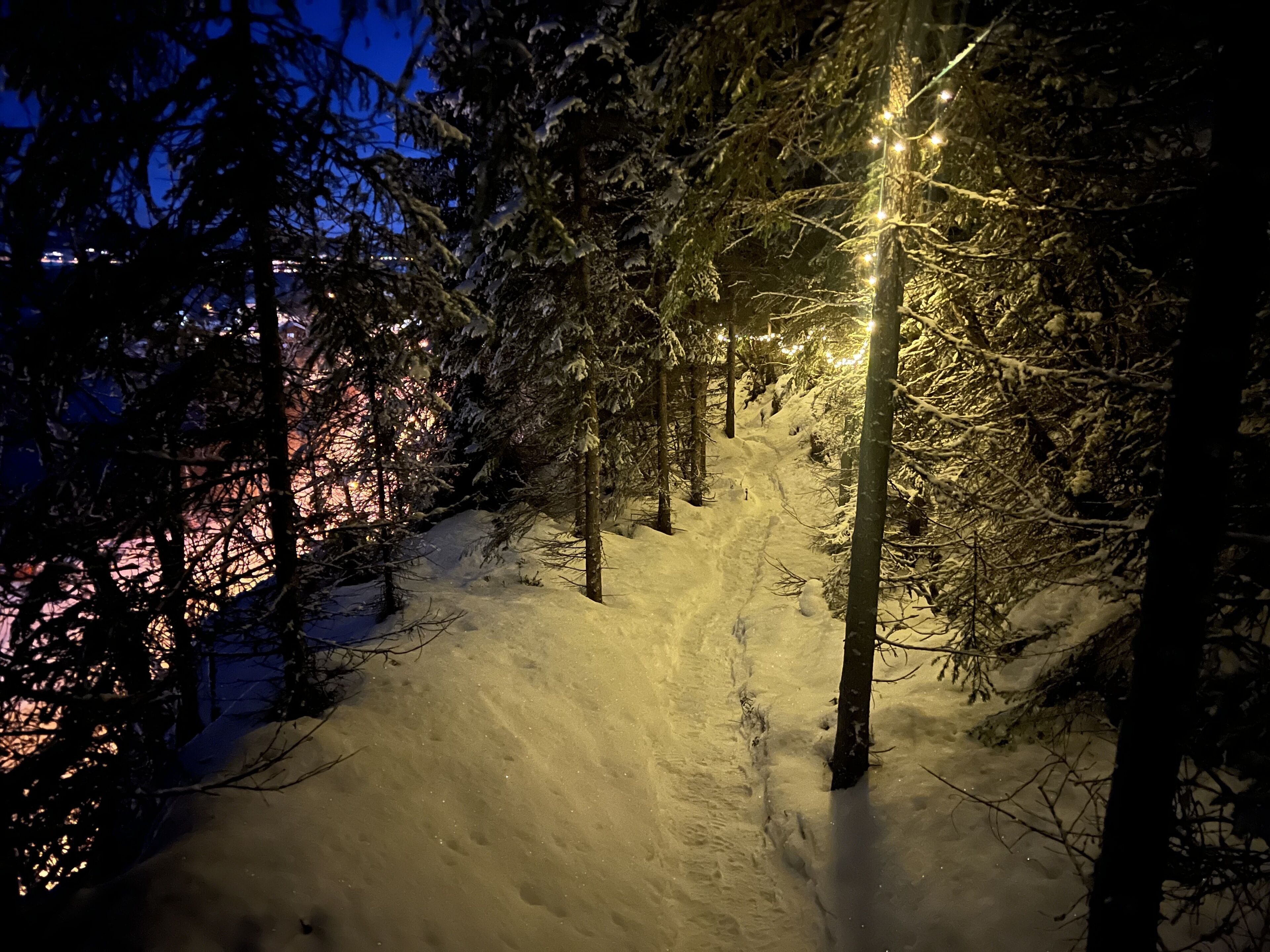 A snow-covered path in a forest at night with illuminated lights.