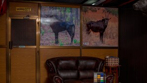 Una habitación con un sofá de cuero, un escritorio con una computadora portátil, un cartel que dice 'Manager' y dos cuadros con imágenes de animales.