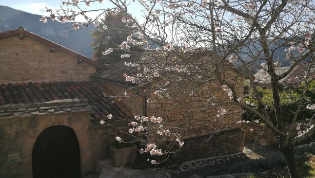 Un edificio de piedra con techo de tejas, un pequeño arco y un árbol con flores rosadas al frente.