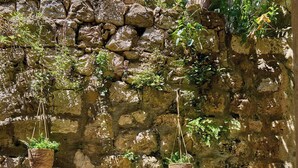 A stone wall with hanging planters and two metal chairs with floral cushions. - Hedera Estate, Hedera A6 (Dubrovnik)