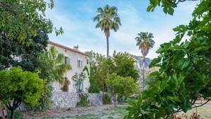 A courtyard with a stone wall, palm trees, and a building with a tiled roof. - Agroturisme Subies (Selva)
