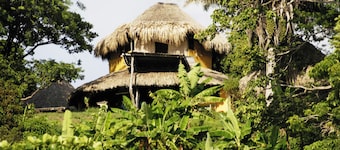 Río Cedro