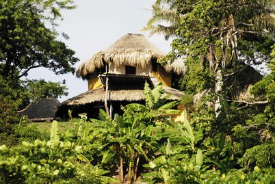 Río Cedro