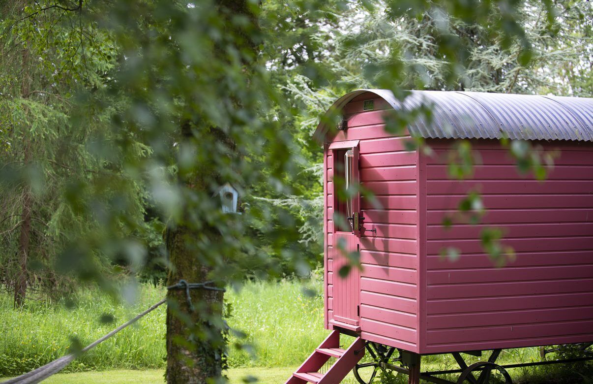Eine rote Holzhütte mit einem Metall-Dach, gelegen in einer grünen Umgebung mit Bäumen im Hintergrund.