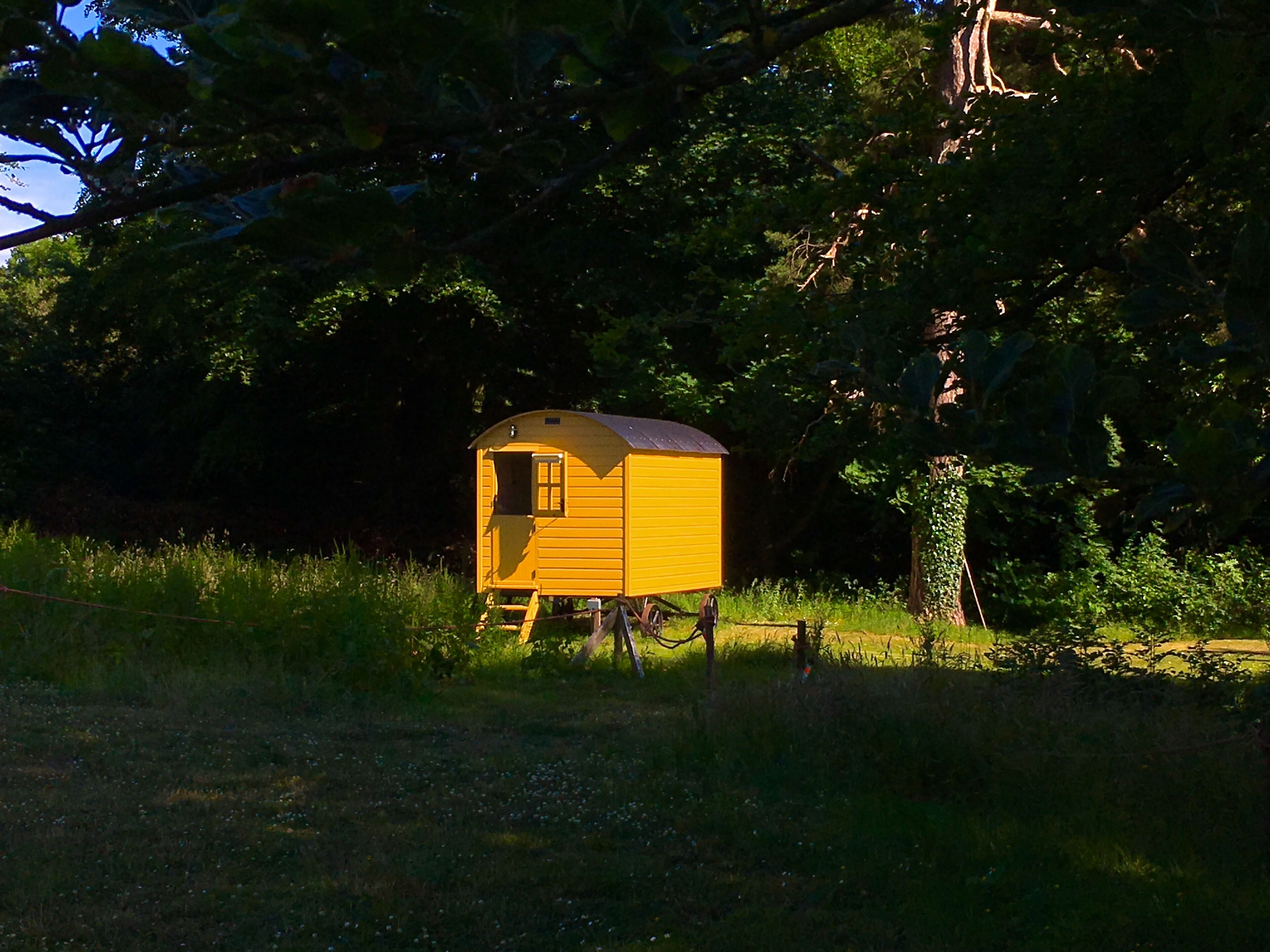 Une petite construction en bois jaune, dotée d’un toit incurvé, située dans une zone herbeuse, avec des arbres en arrière-plan.