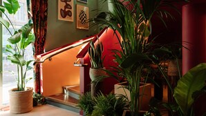A staircase with a red handrail, surrounded by lush green plants. - Second Nature Belfast (Belfast)