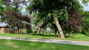 A serene lakeside property with a gravel path, a small building, and mature trees.