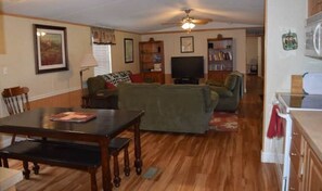 TV, DVD player, books, video library